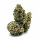 Sun Peaks Cultivation - Skunk #1