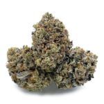 Chocolope Kush