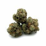 Chocolope