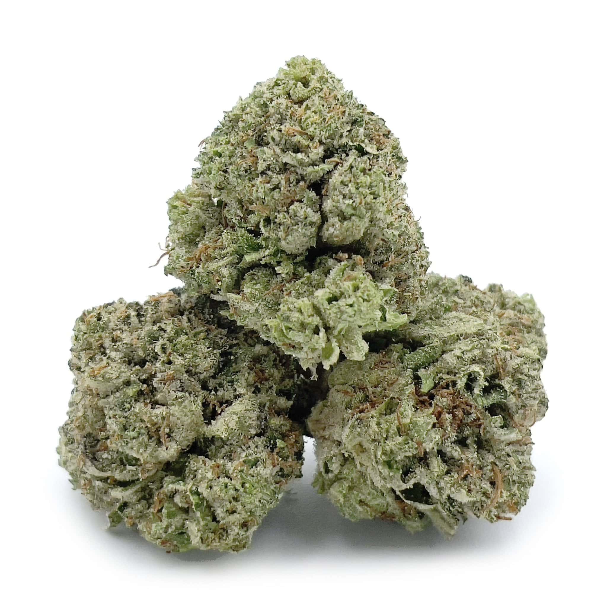 Platinum Bubba