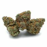 Mandarin Kush