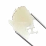 Mexican Shatter