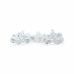 Glass Screens - Daisy Small x 5