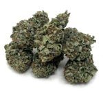 Bubble Gum Kush