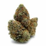 Mandarin Kush
