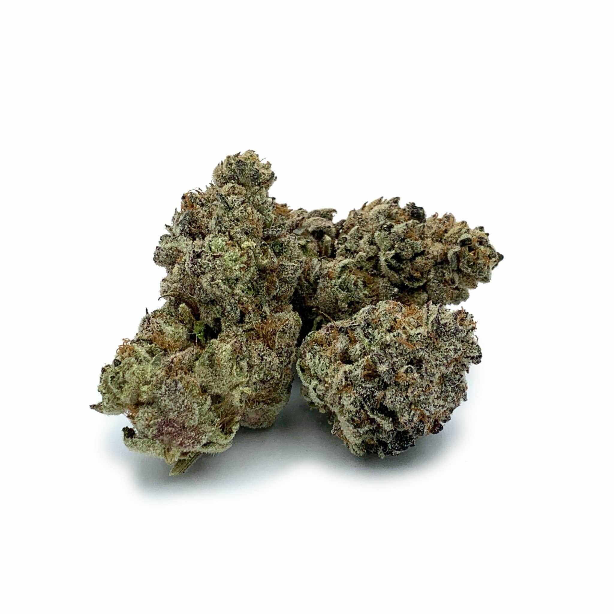 Purple Legend Bomb