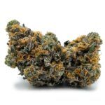 Purple God Bud