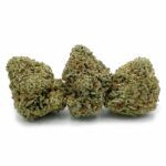 Blue Nuken