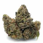 Sour Cookies
