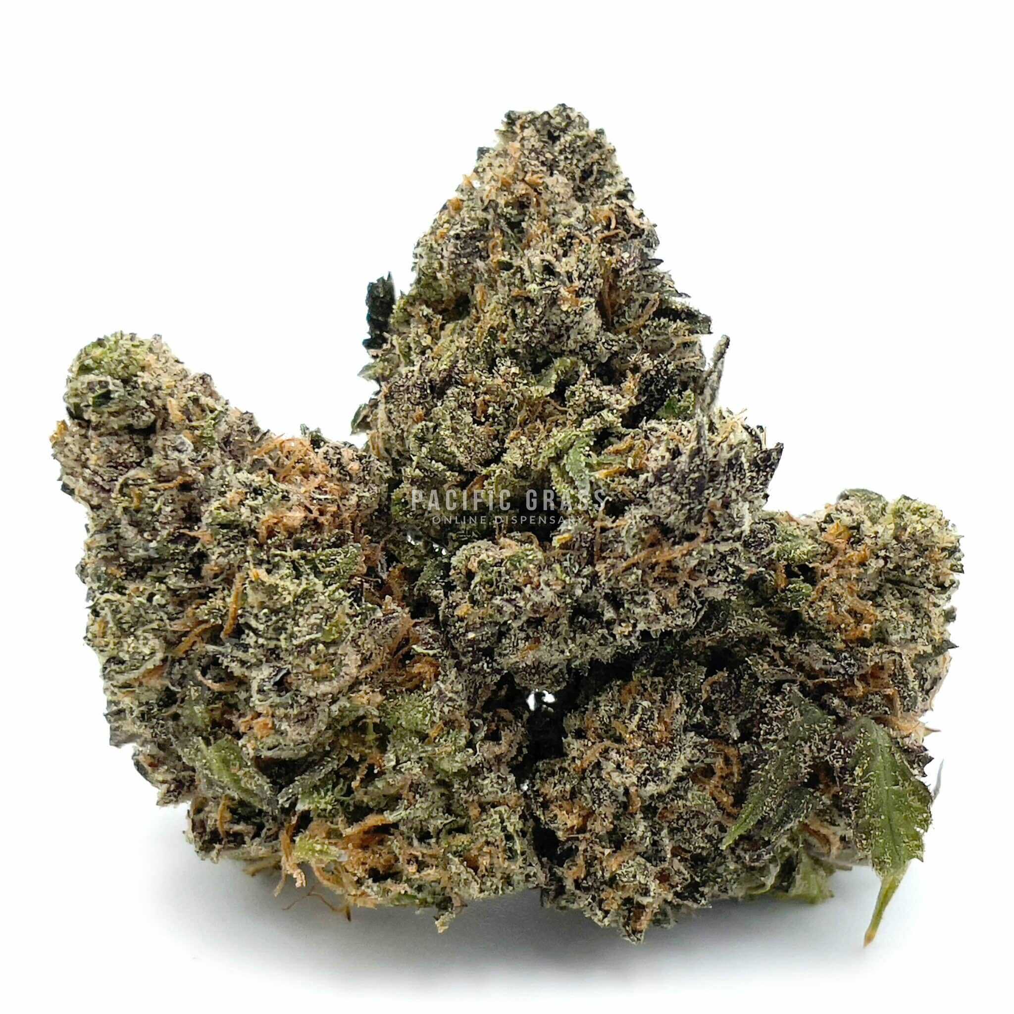 Sour Cookies