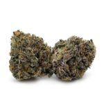 Afghan Purple Kush
