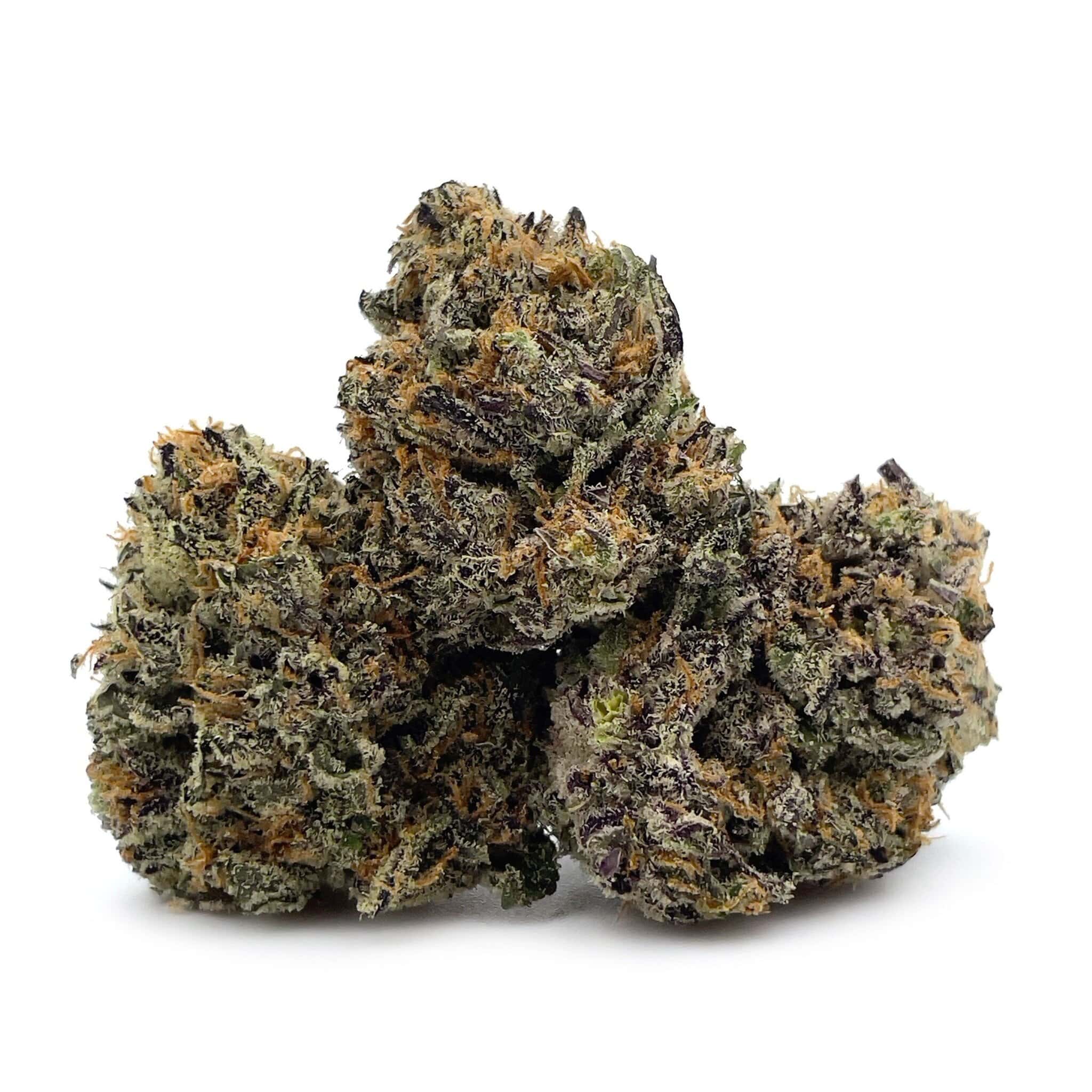 Afghan Purple Kush
