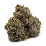 Afghan Purple Kush