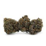 Afghan Purple Kush