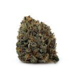 Afghan Purple Kush