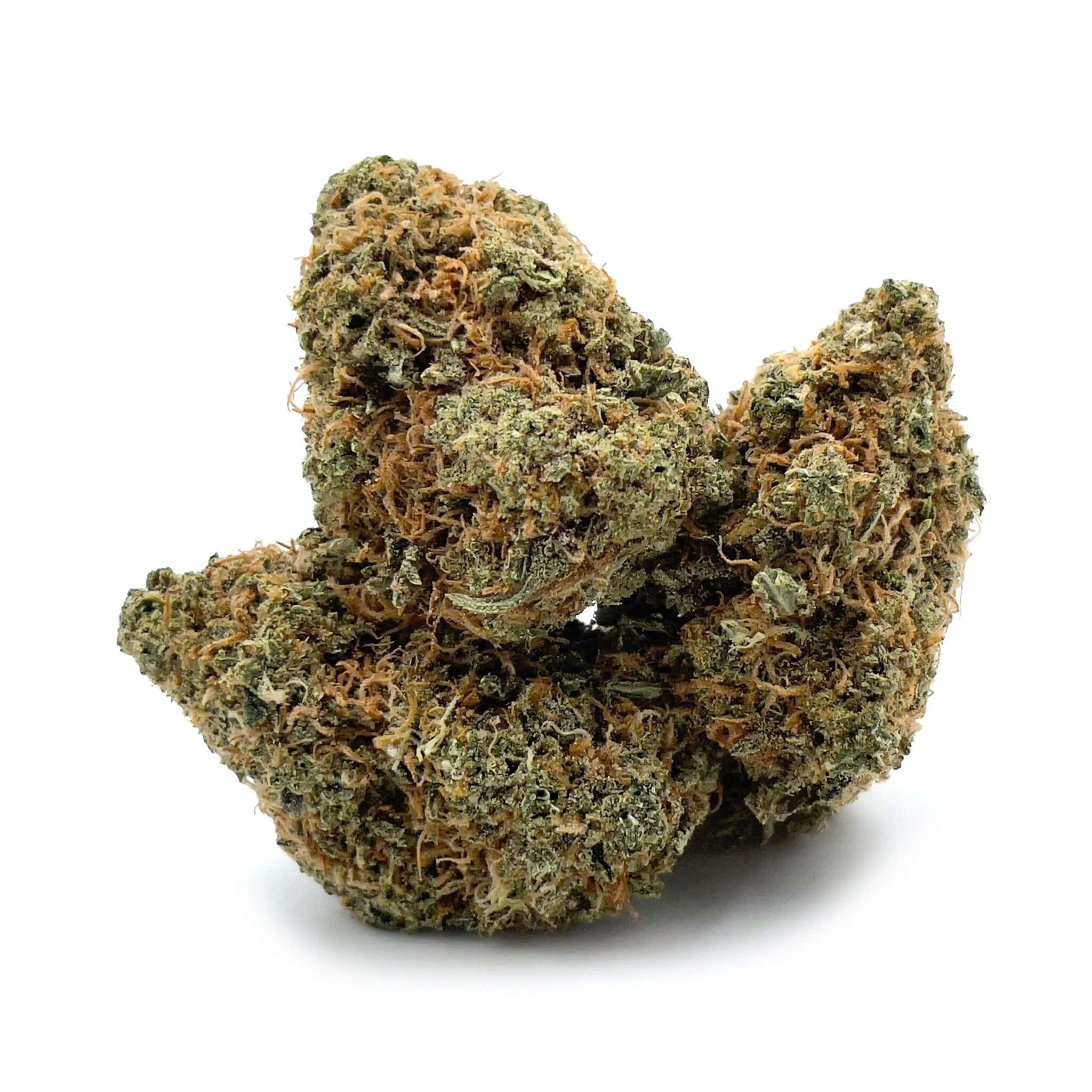 Alaska Blackberry