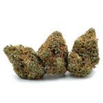Alaska Blackberry