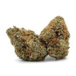 Alaska Blackberry
