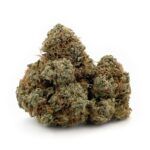 Alien OG - Popcorn