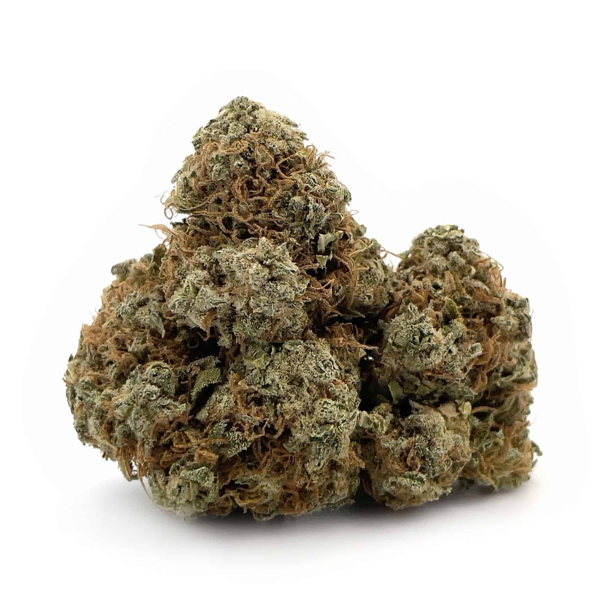 Alien OG - Popcorn