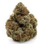 Alien OG - Popcorn
