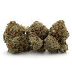 Alien OG - Popcorn