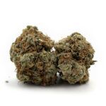 Alien OG - Popcorn