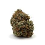 Alien OG - Popcorn