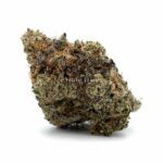 Hindu Skunk