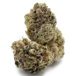 Enigma Extracts - Kombucha