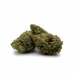 Grandmaster Kush