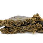 Domestic Star Hash