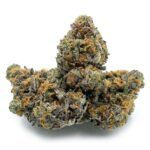 Purple God Bud