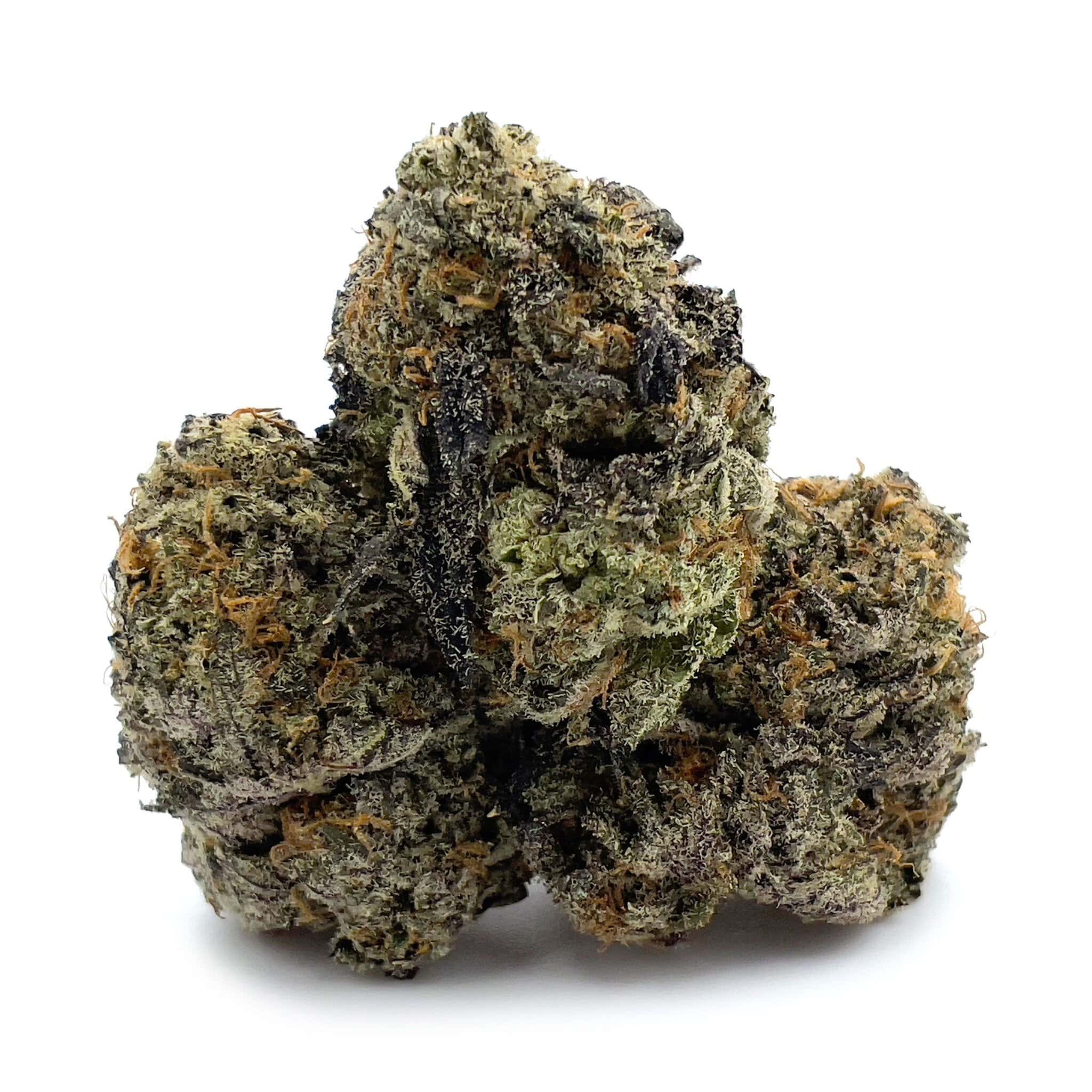 Black Dolato