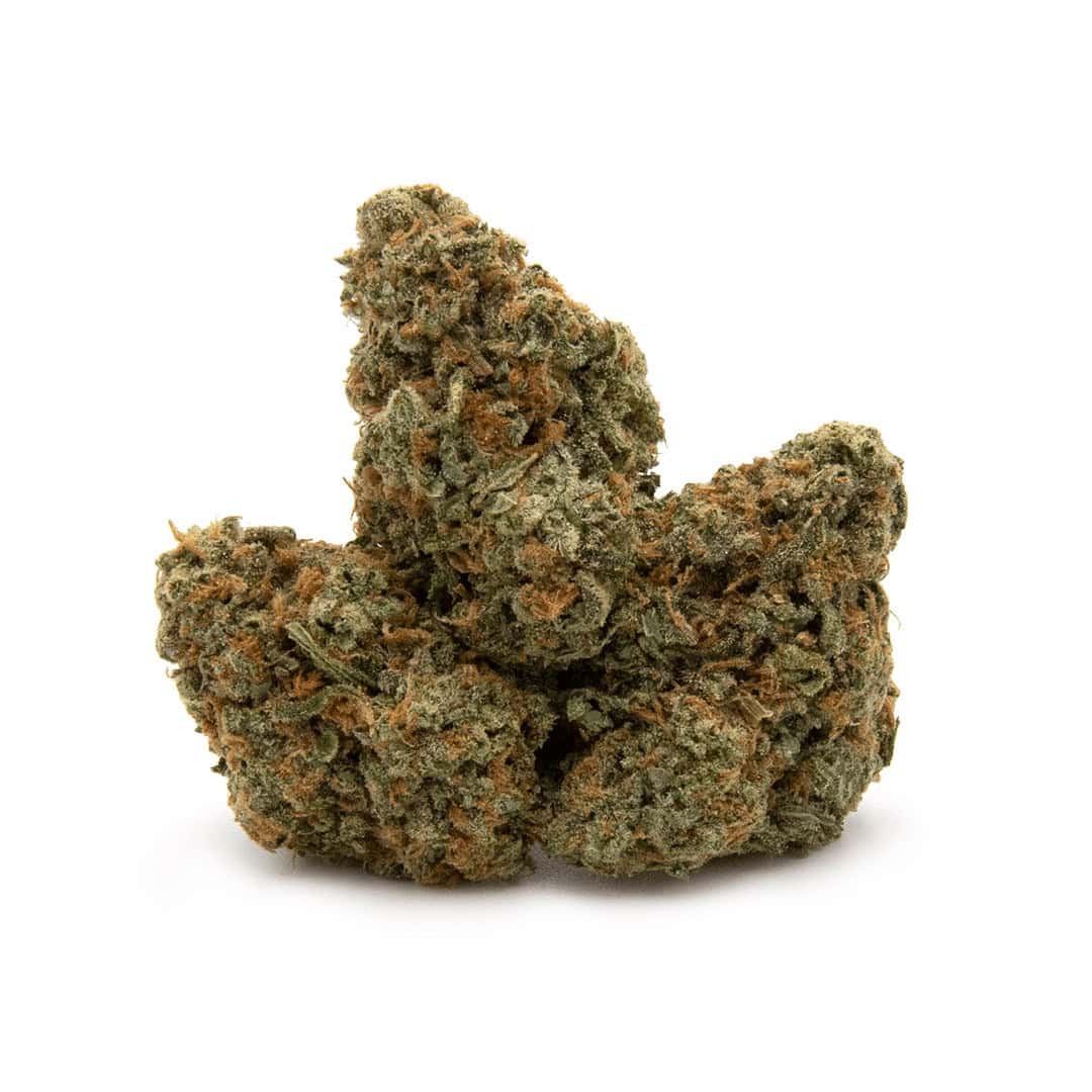 Blue Cookies