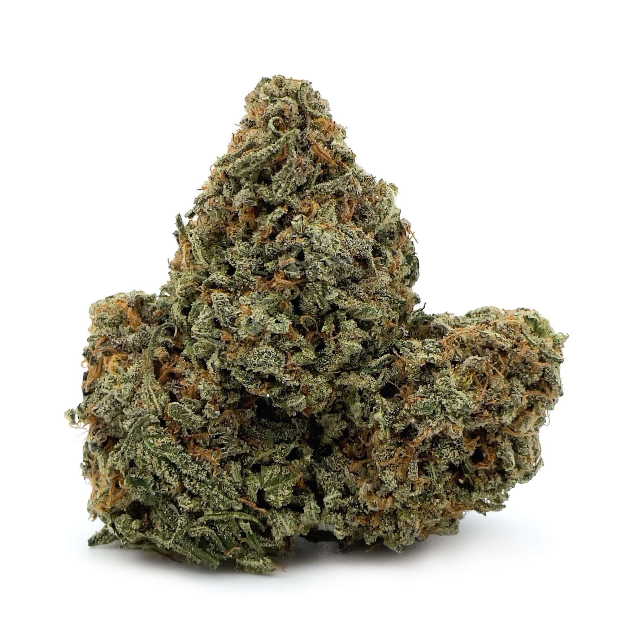Blue Widow