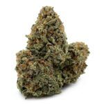 Blue Widow