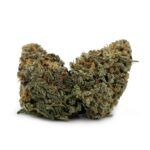 Blue Widow
