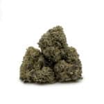 Blueberry