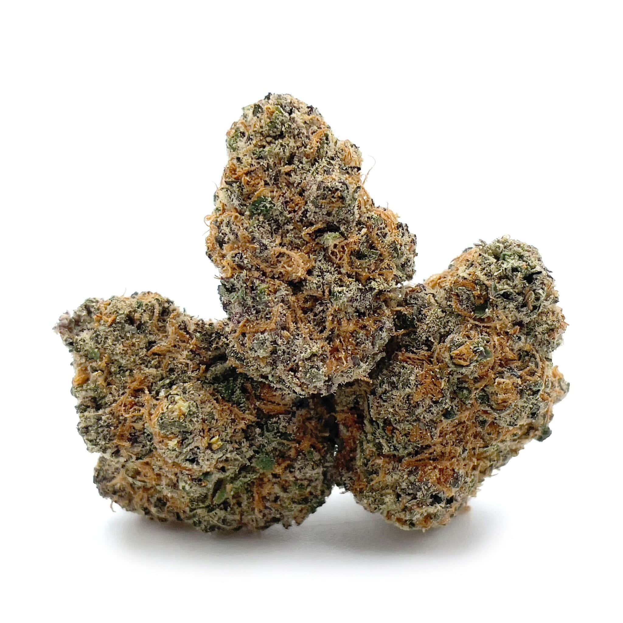 Blueberry Ghost