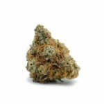 Velvet Bud