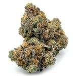 Purple God Bud