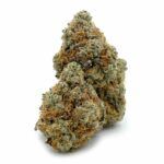 Velvet Bud