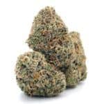 Candyland