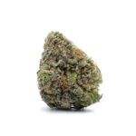Sun Peaks Cultivation - Cherry Punch
