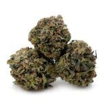 Chocolate Kush