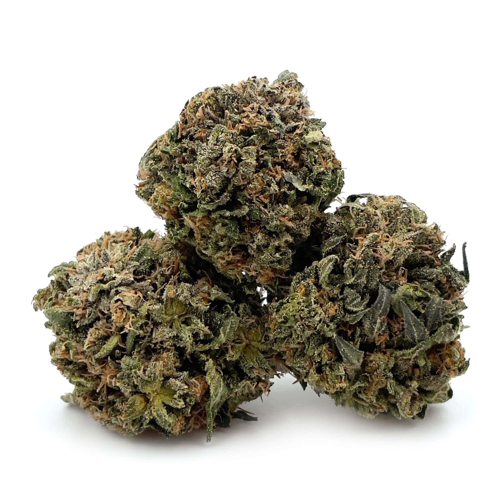 Chocolate Kush