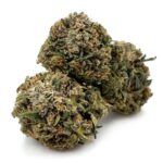 Chocolate Kush