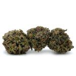 Chocolate Kush