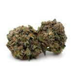 Chocolate Kush